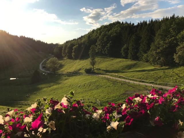 Ferienwohnung Hochsteinalm Traunkirchen Exterior foto
