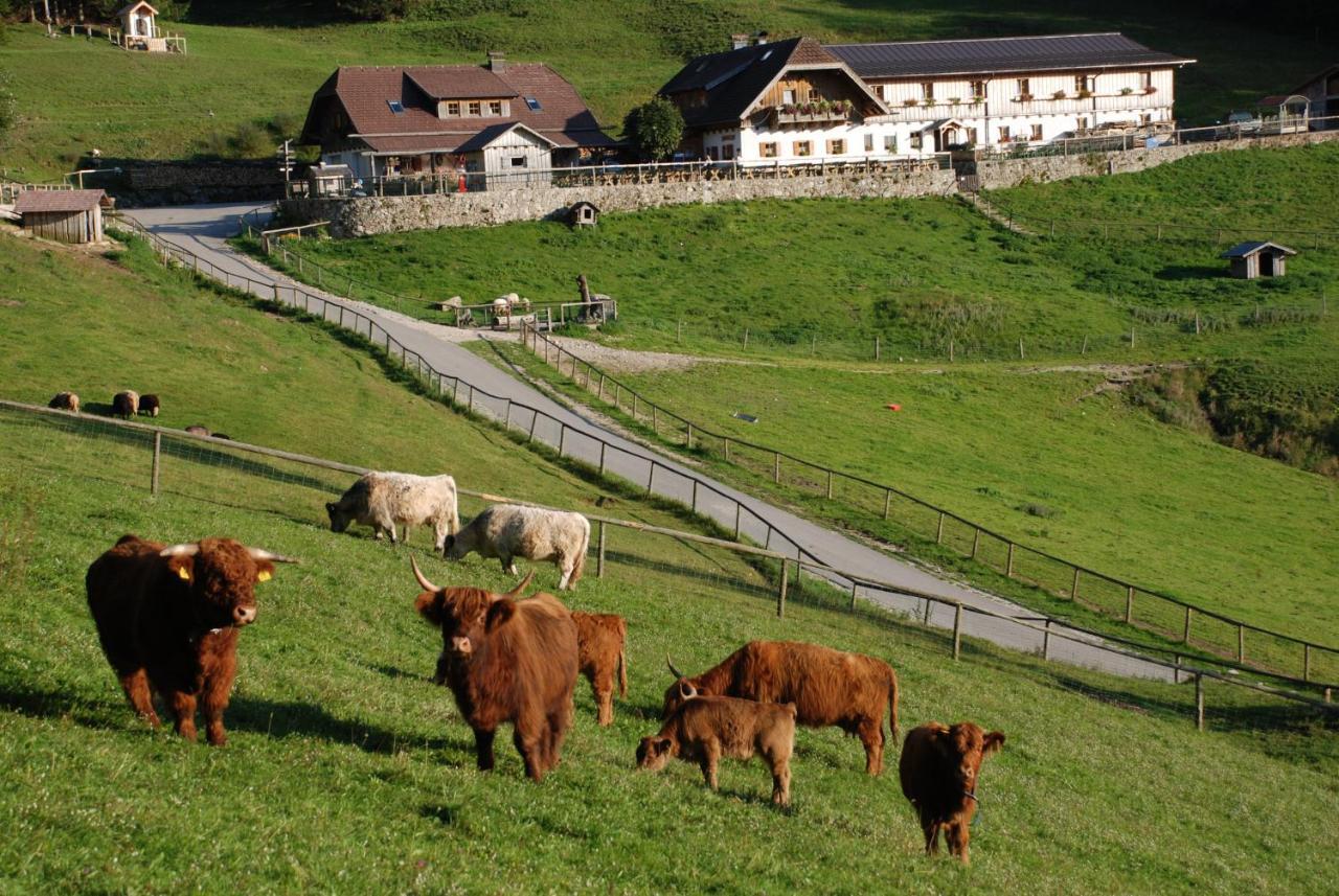 Ferienwohnung Hochsteinalm Traunkirchen Exterior foto