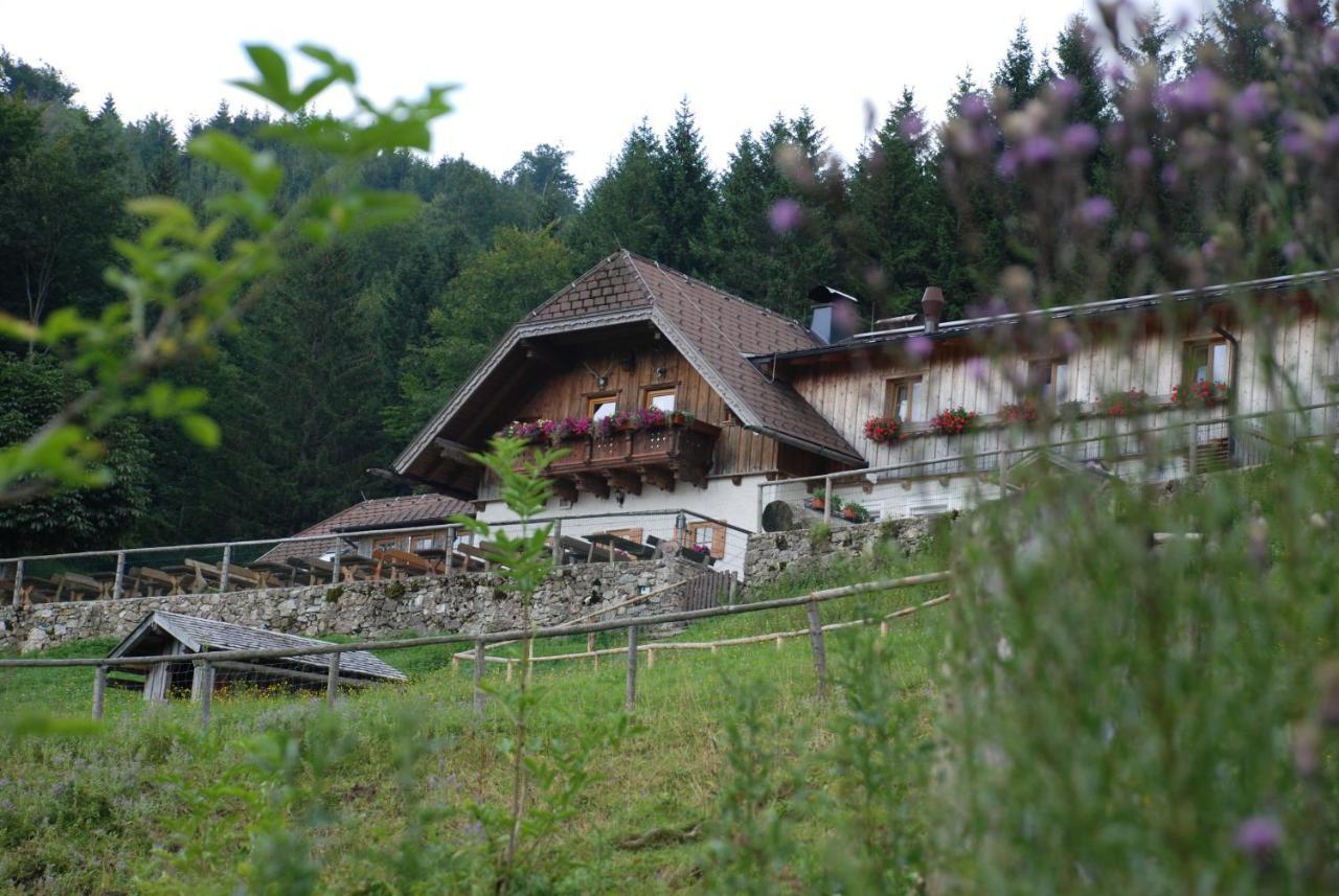 Ferienwohnung Hochsteinalm Traunkirchen Exterior foto